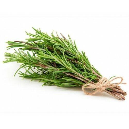 Rosemary