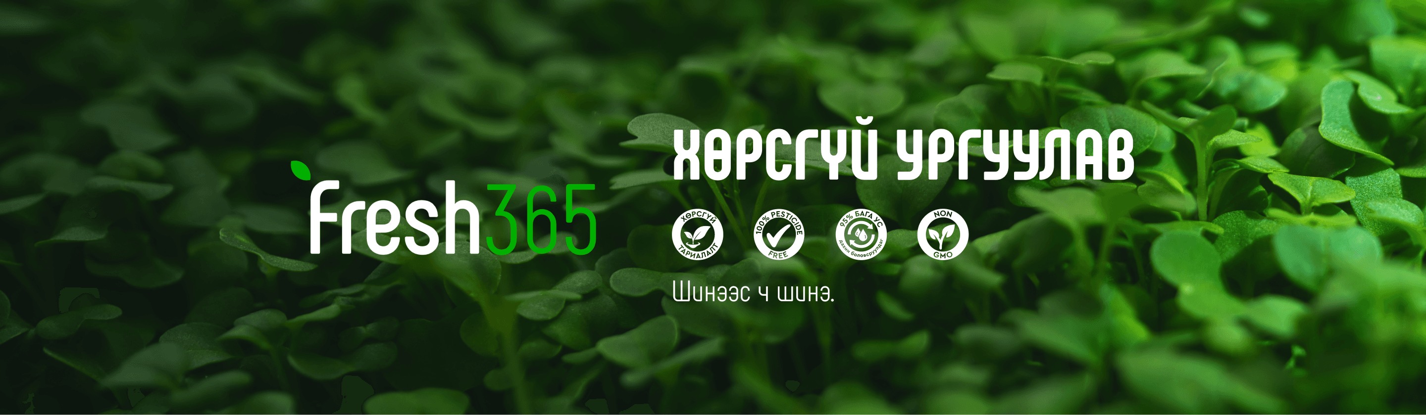 vendor_background