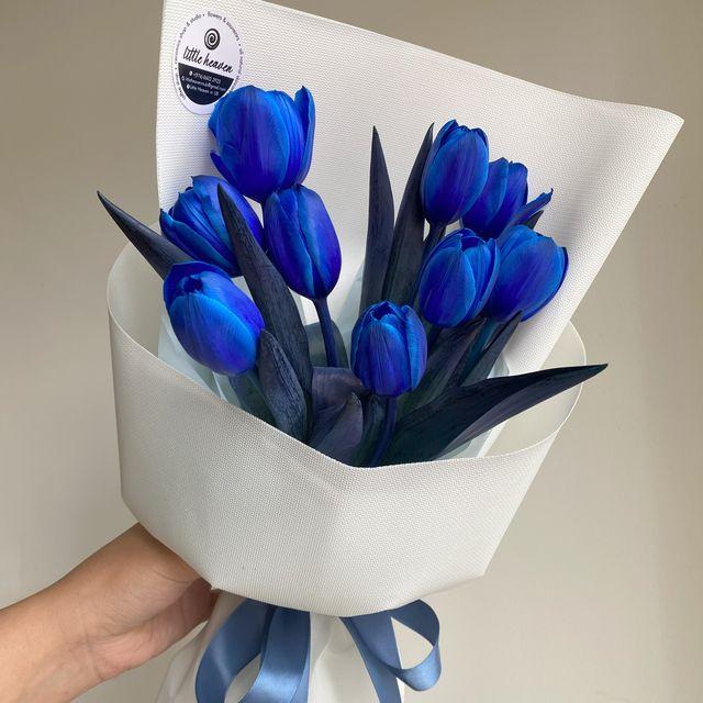 Heavenly blue tulips