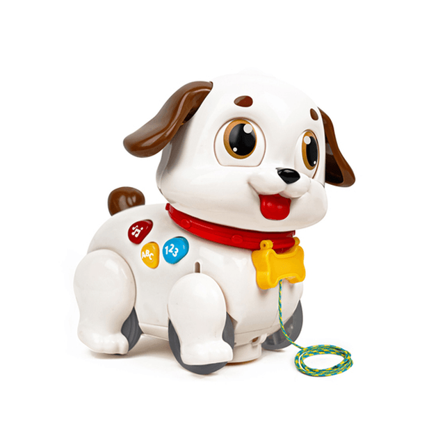 Hola - Puppy