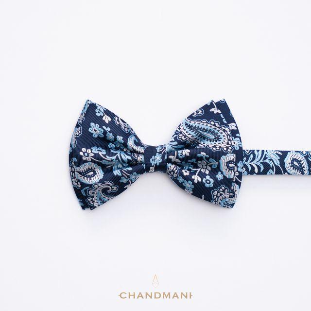 Эрвээхэй зангиа