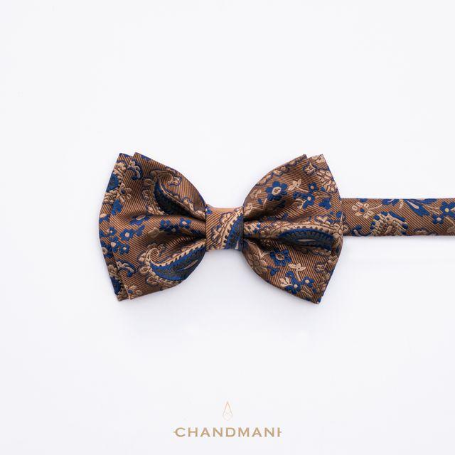 Эрвээхэй зангиа