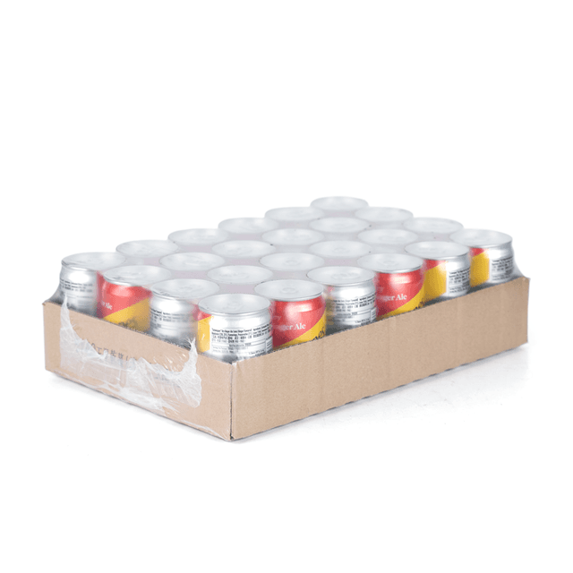 Schweppes Ginger Ale CAN 200ml