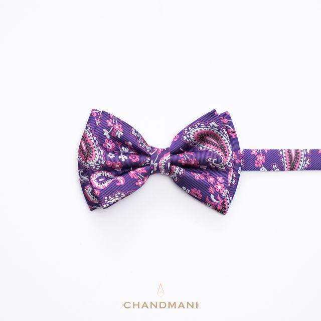 Эрвээхэй зангиа