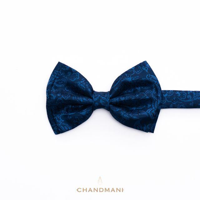 Эрвээхэй зангиа