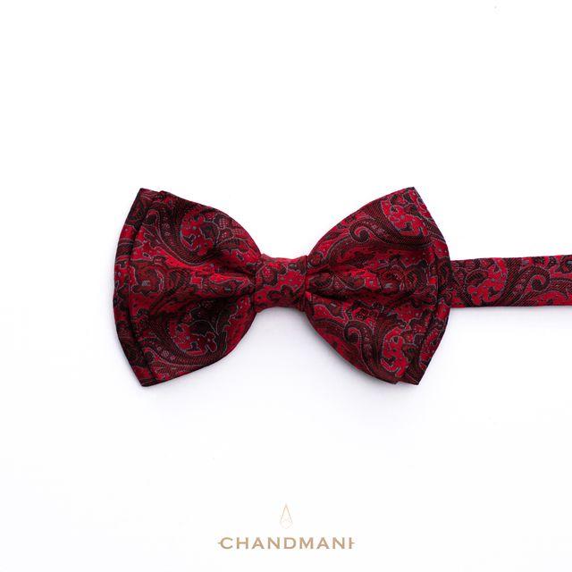 Эрвээхэй зангиа