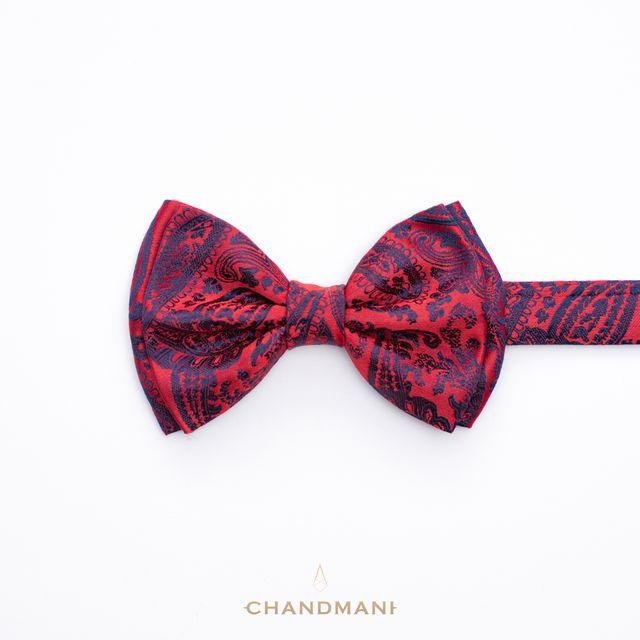 Эрвээхэй зангиа