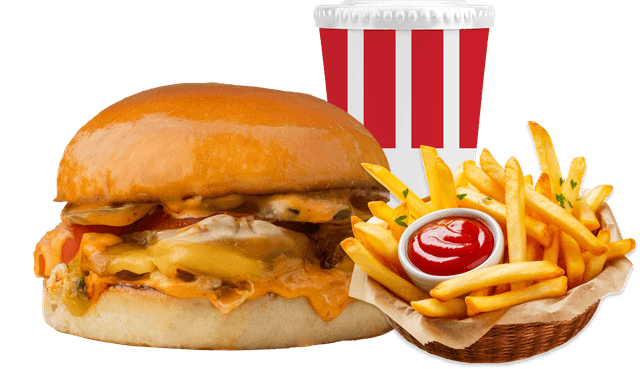 Chicken Burger Combo