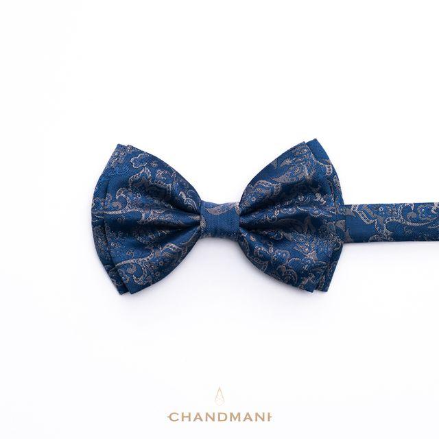 Эрвээхэй зангиа