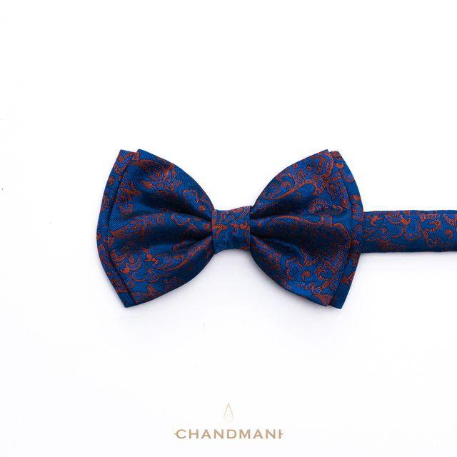 Эрвээхэй зангиа